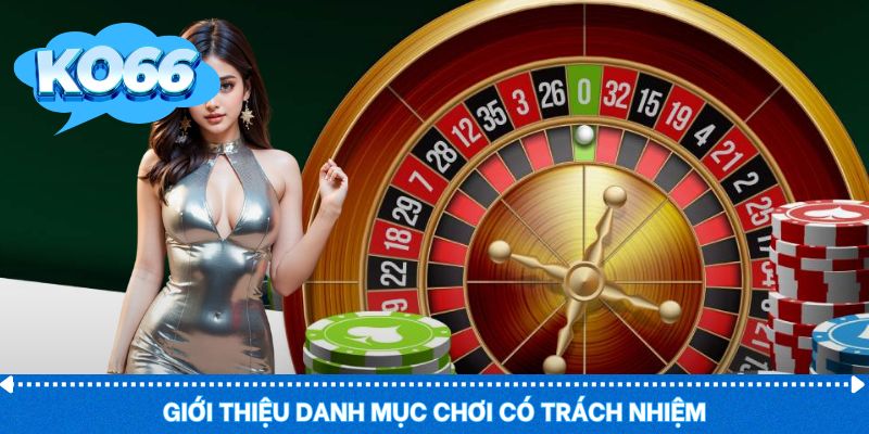 Khái niệm chính về chính sách chơi trách nhiệm