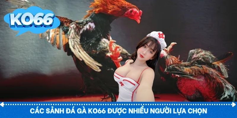 Nhiều sảnh đá gà phù hợp từng kê thủ