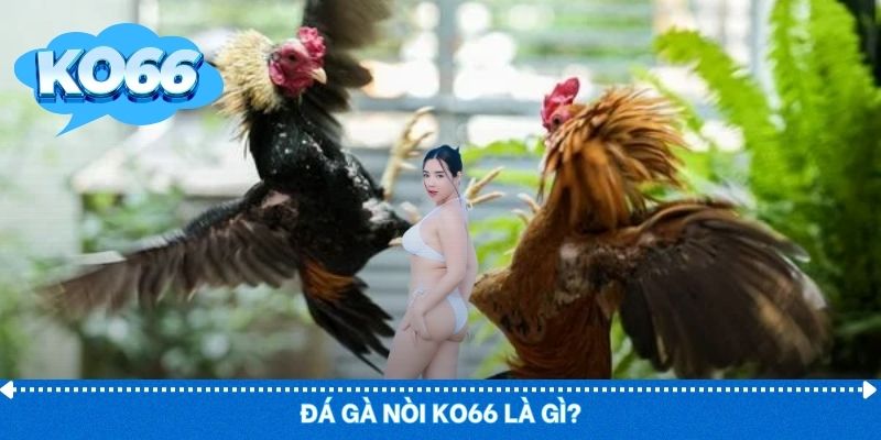 Đá gà nòi thiên về sức bền, kỹ thuật