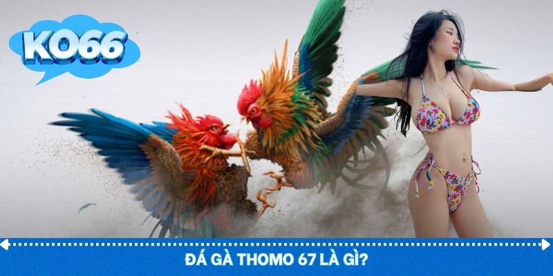 Thomo 67 là trường đấu trực tiếp nhịp nhanh