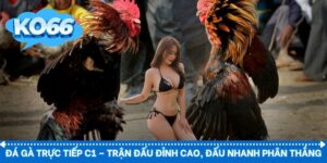 đá gà trực tiếp C1