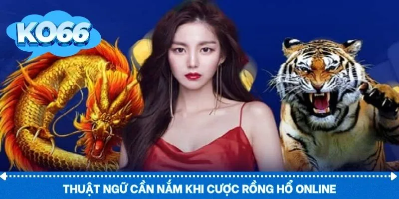 Thuật ngữ cần nắm khi cược rồng hổ online